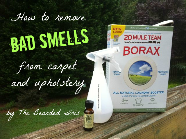 How do you remove pet odor?